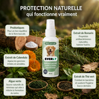 Spray Dentaire EVERLY™